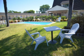 Отель Alexander Motor Inn  Мори